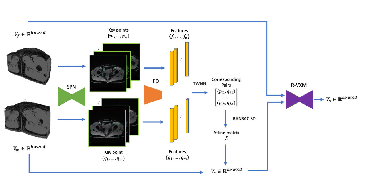 Publication Figure