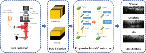 Publication Figure