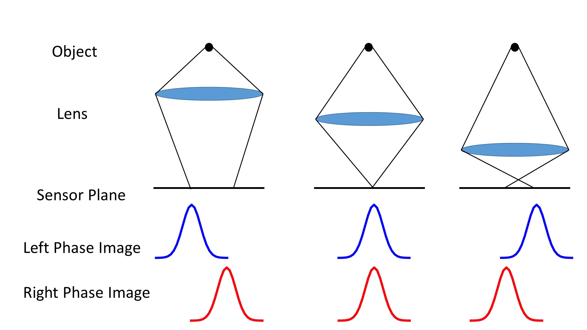 Publication Figure